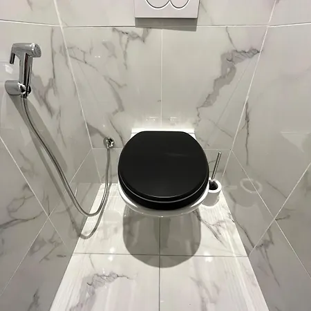 Apartamento T3 Renove A 15 Min De Lyon *